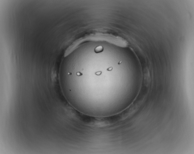 X0000115790608200911201333