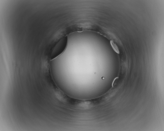 X0000115790609200911201333