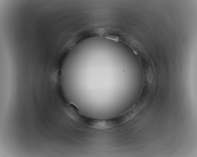 X0000115790611200911201333