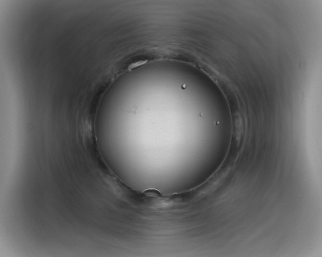 X0000115790613200911201333