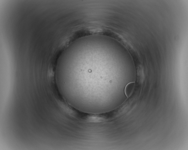 X0000115790614200911201333