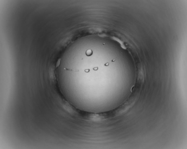 X0000115790616200911201333