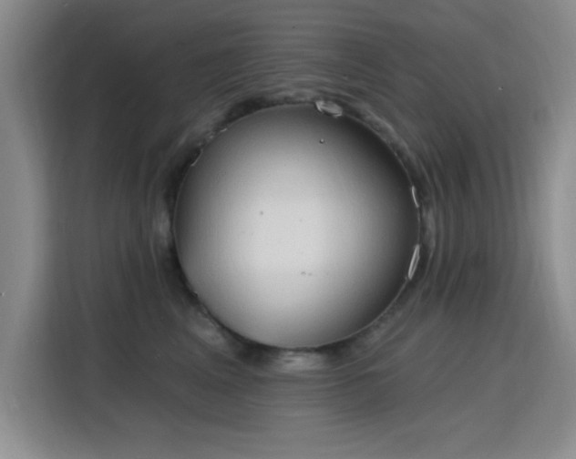 X0000115790617200911201333