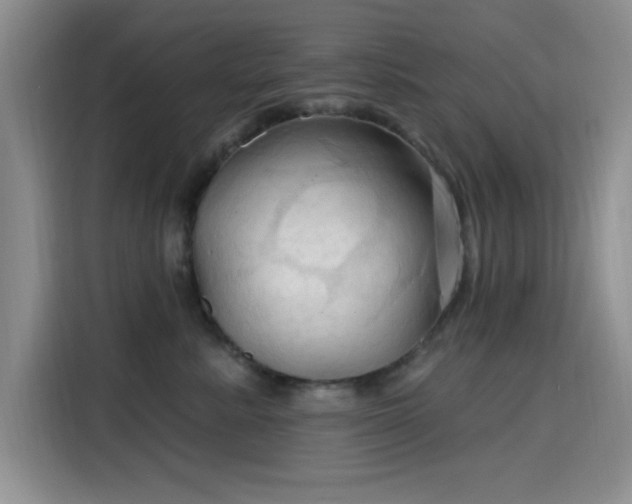 X0000115790619200911201333