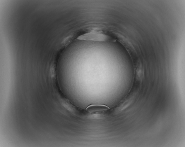 X0000115790620200911201333