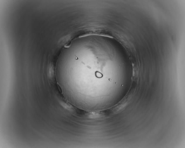 X0000115790623200911201333