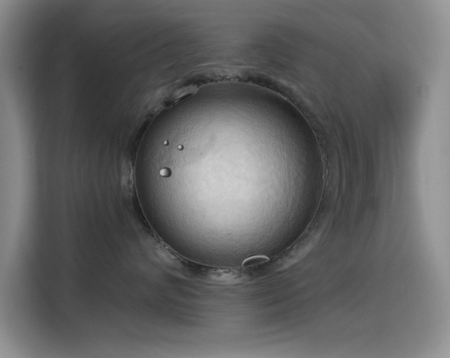 X0000115790624200911201333