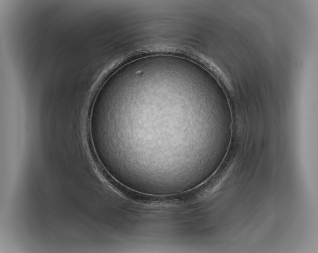 X0000115790625200911201332