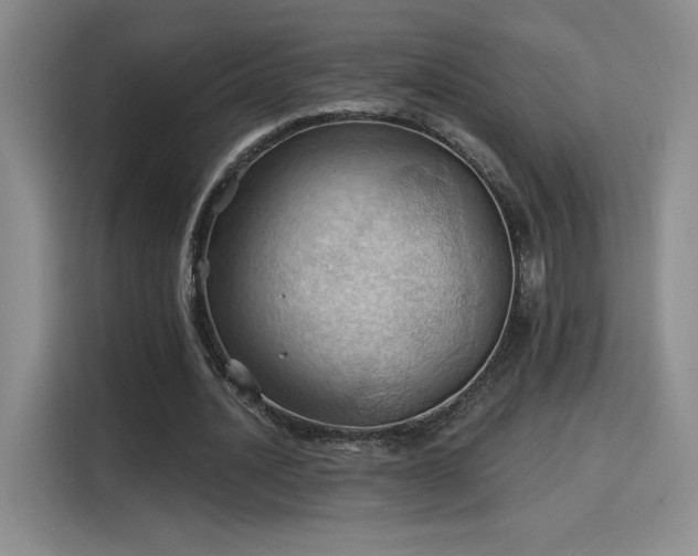 X0000115790628200911201332