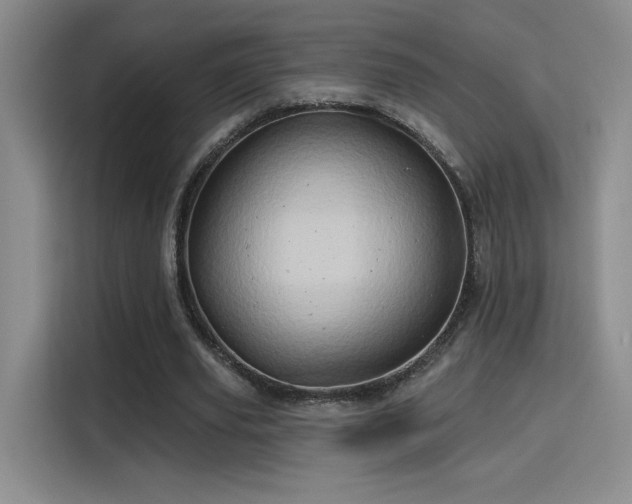 X0000115790629200911201332