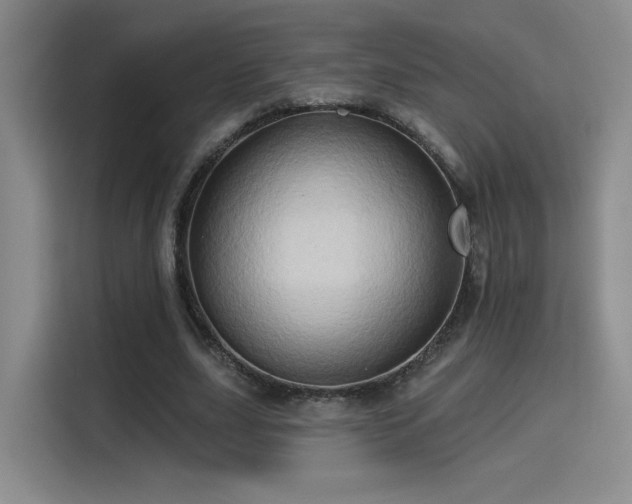 X0000115790631200911201333