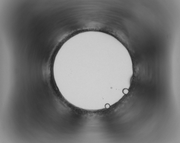 X0000115790632200911201333