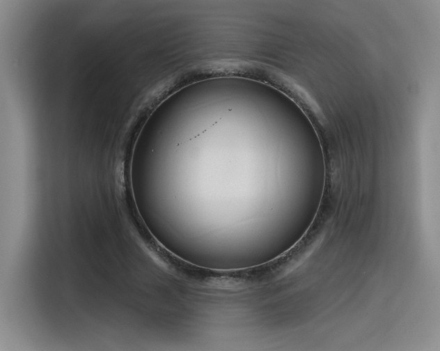 X0000115790633200911201333