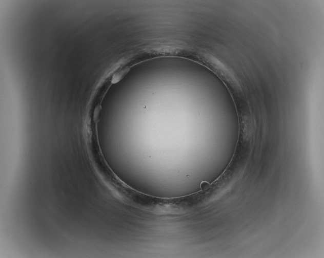 X0000115790634200911201333