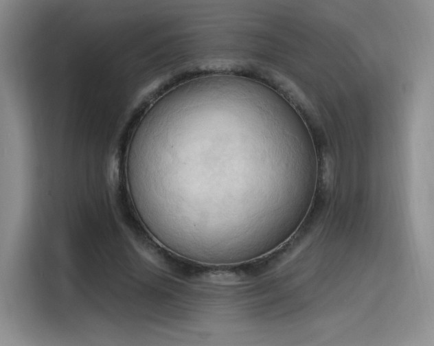 X0000115790636200911201333