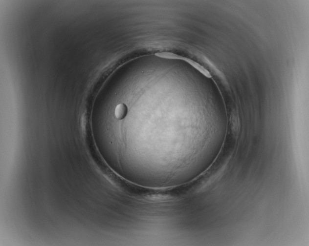 X0000115790637200911201333