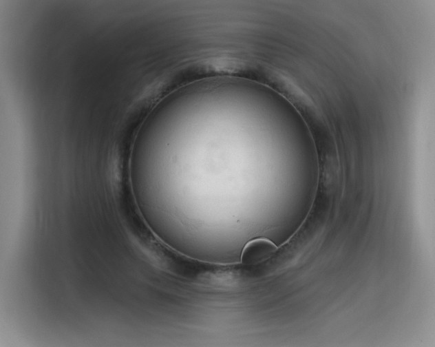 X0000115790639200911201333