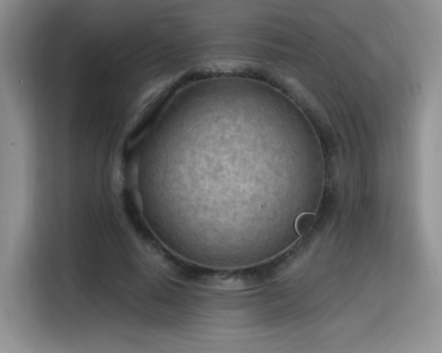 X0000115790640200911201333