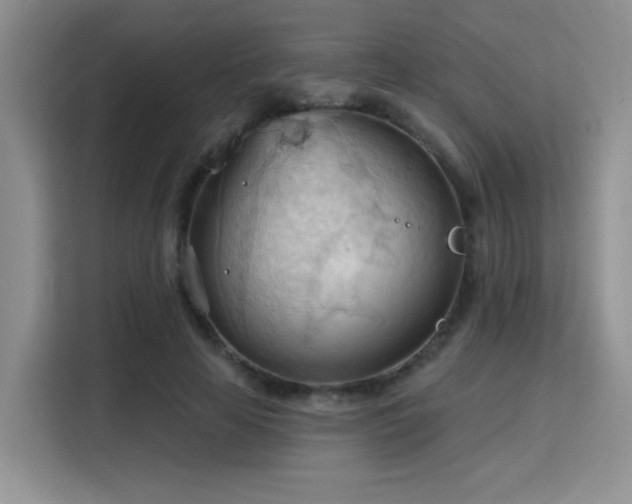 X0000115790641200911201333