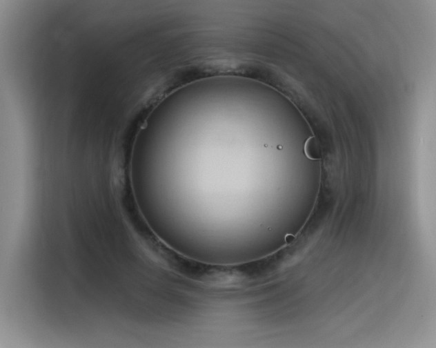 X0000115790642200911201333