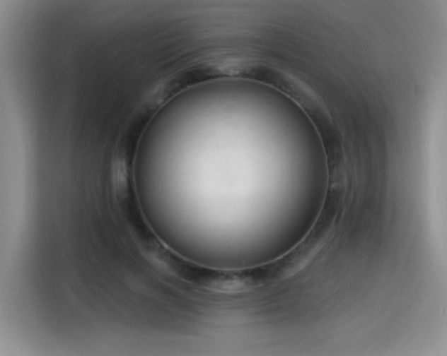 X0000115790646200911201333