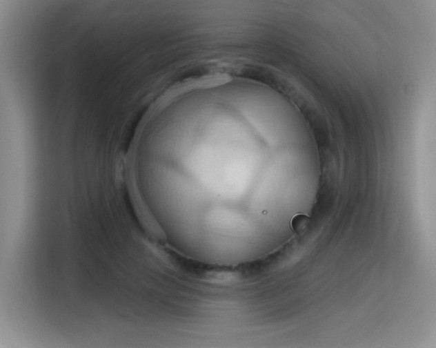 X0000115790649200911201333