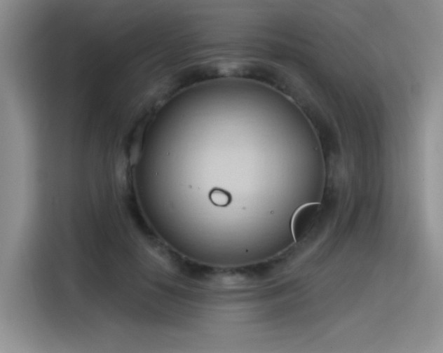 X0000115790650200911201333