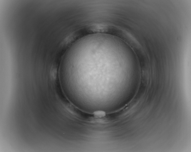 X0000115790652200911201333