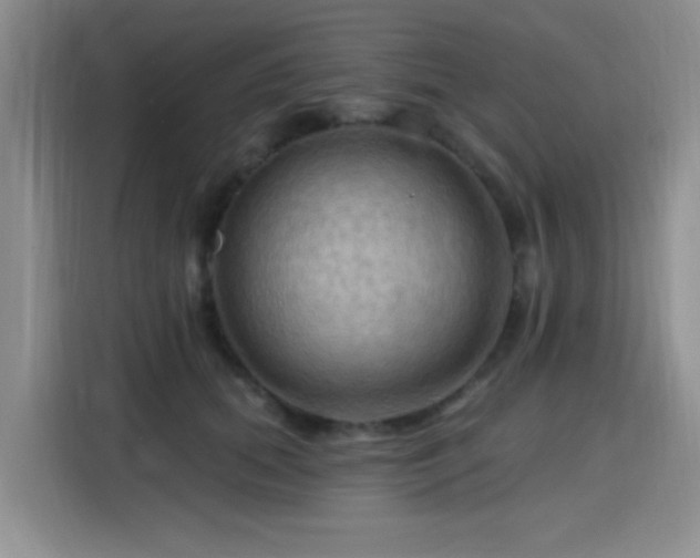 X0000115790655200911201333