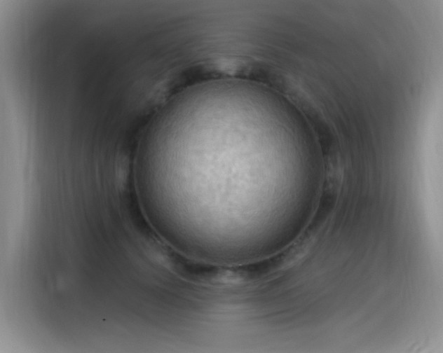 X0000115790656200911201333