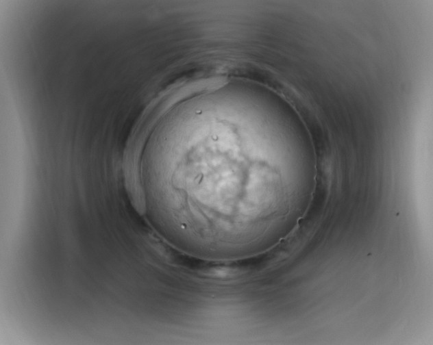 X0000115790657200911201333