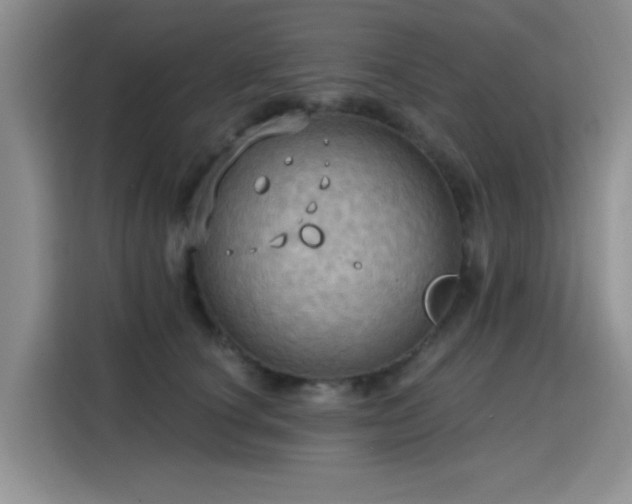 X0000115790660200911201333