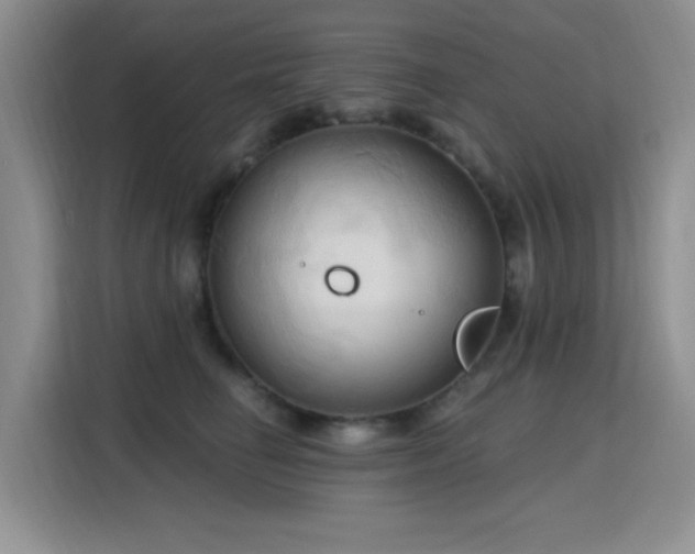 X0000115790662200911201333