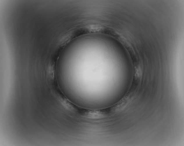 X0000115790666200911201333