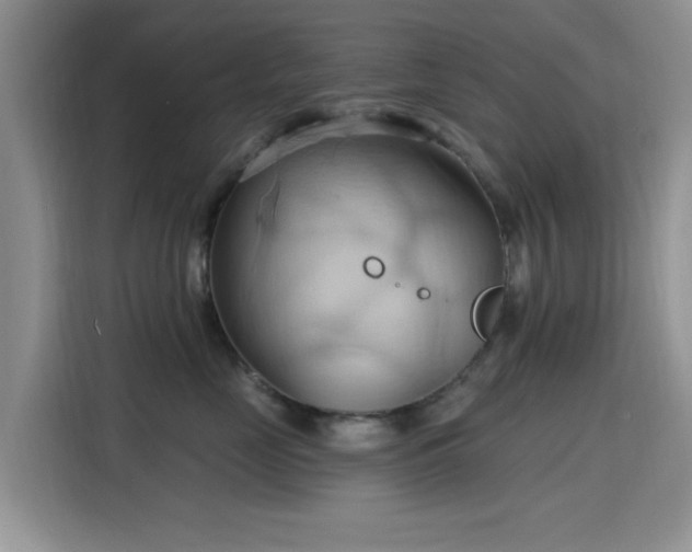 X0000115790669200911201333