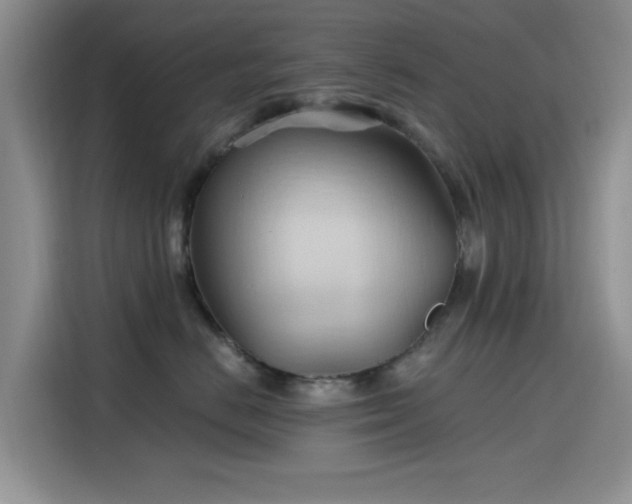 X0000115790670200911201333