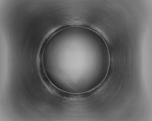 X0000115790674200911201332