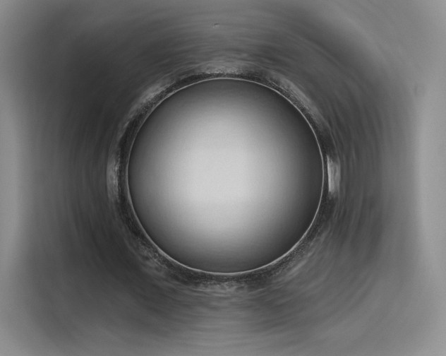 X0000115790675200911201332