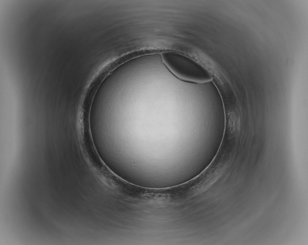 X0000115790676200911201332