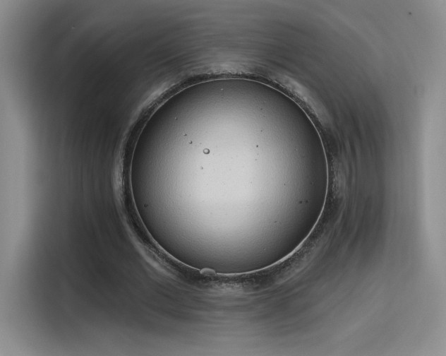 X0000115790677200911201332