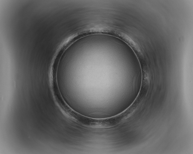 X0000115790678200911201332