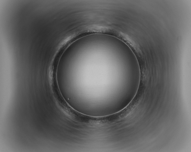 X0000115790679200911201332