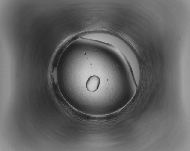 X0000115790680200911201332