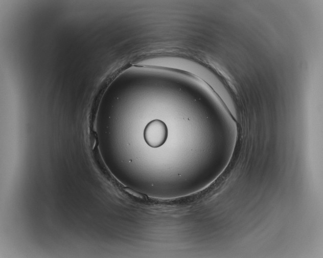 X0000115790681200911201332