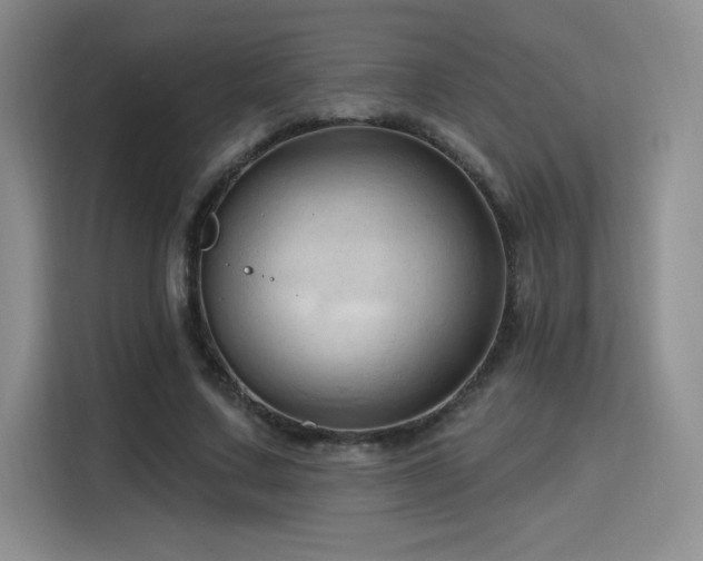 X0000115790683200911201332