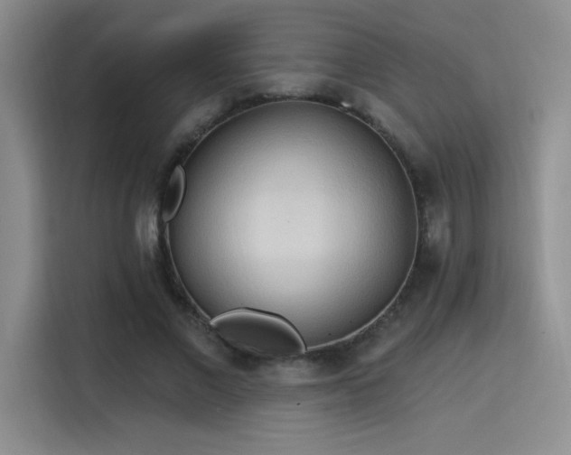 X0000115790685200911201332