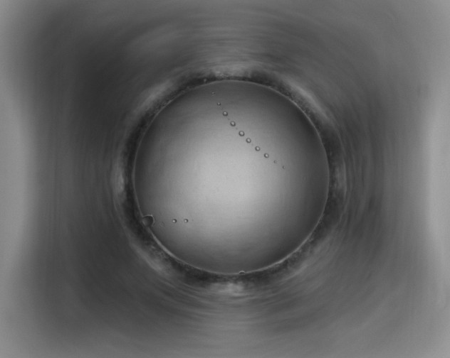 X0000115790687200911201332