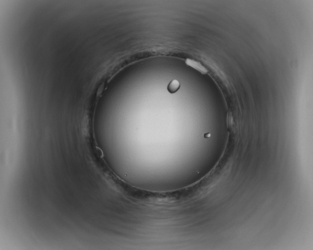 X0000115790689200911201332