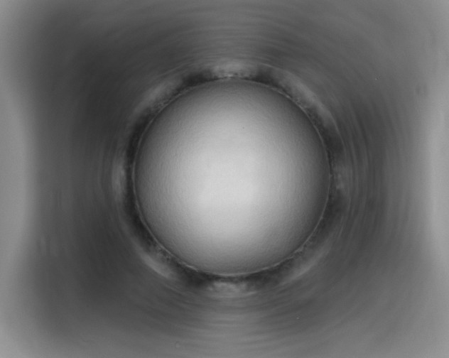 X0000115790690200911201332