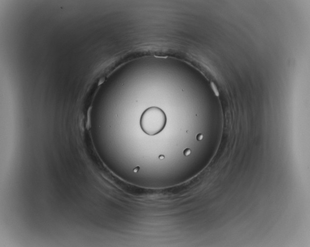 X0000115790692200911201332